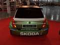 Fabia_S2000_050